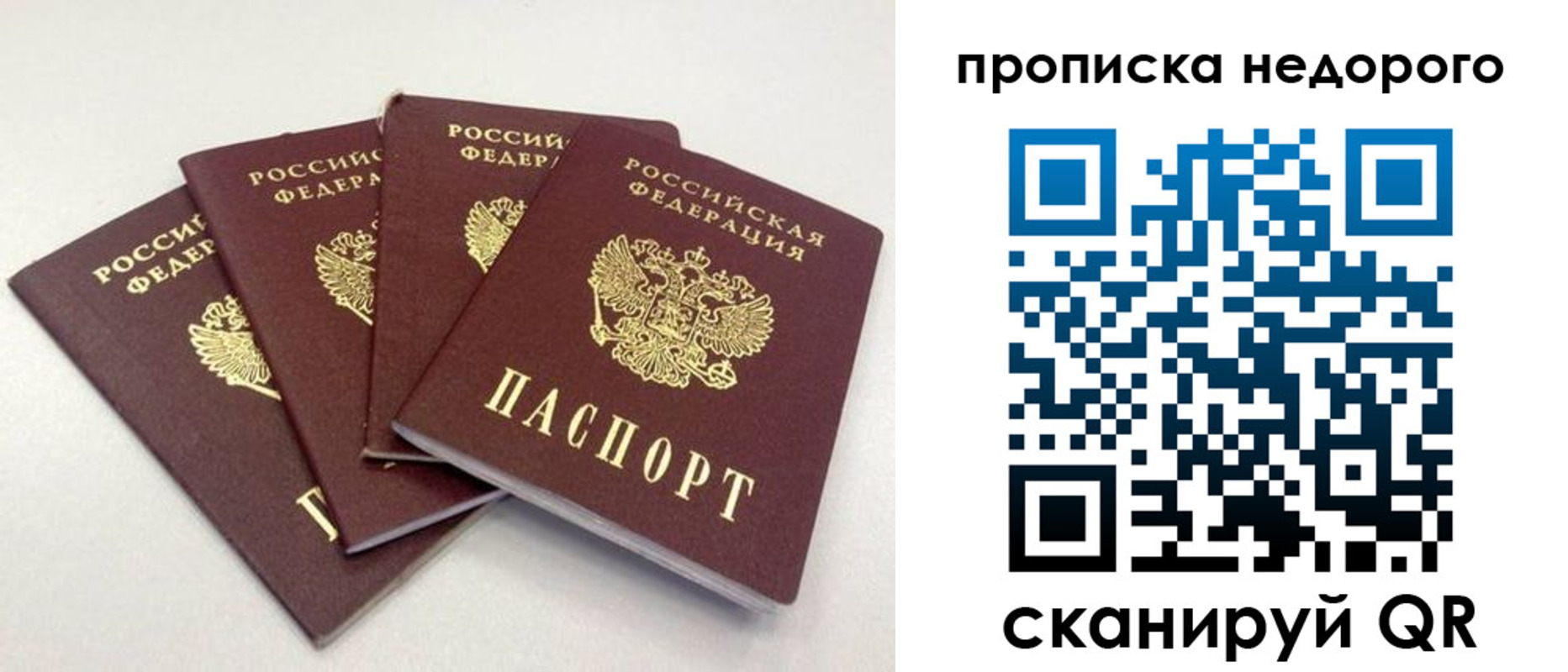 прописка законно в Венёве